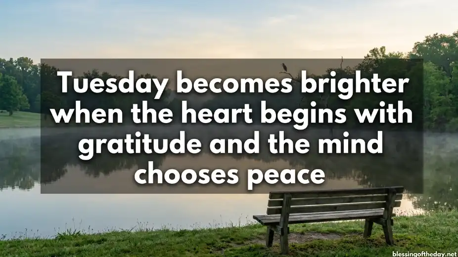 good morning tuesday blessings quotes image