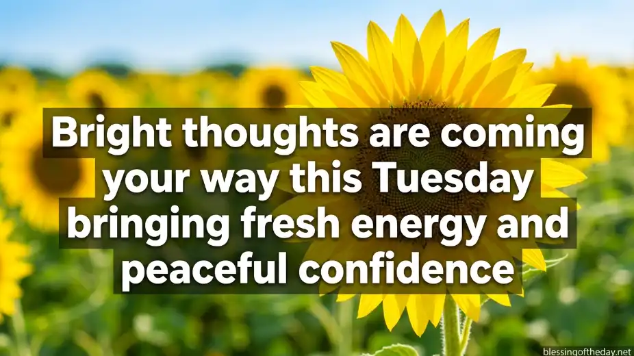 positive good morning tuesday blessings image