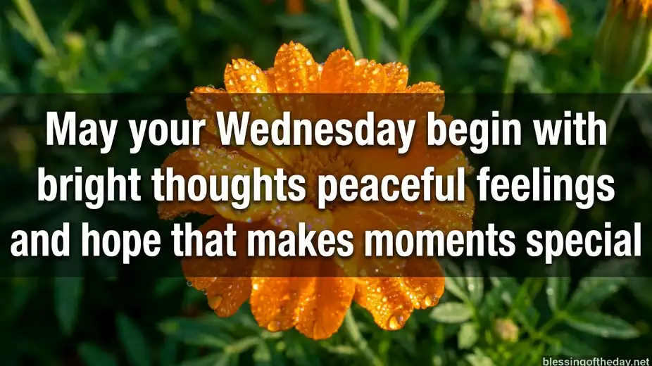 positive good morning wednesday blessings image