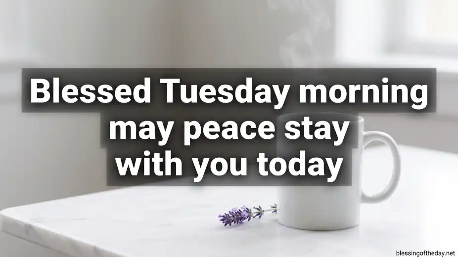 short good morning tuesday blessings image