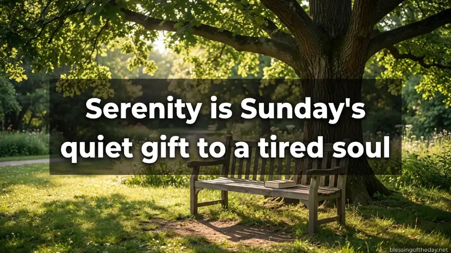 sunday blessings quotes and sayings image